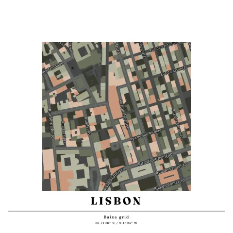 Preview of The Baixa, in buildings