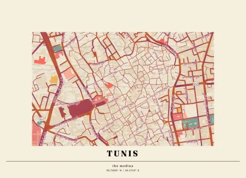 Preview of The Tunis medina