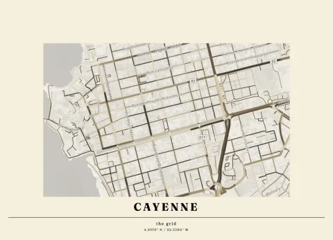 Preview of Cayenne, streets inked