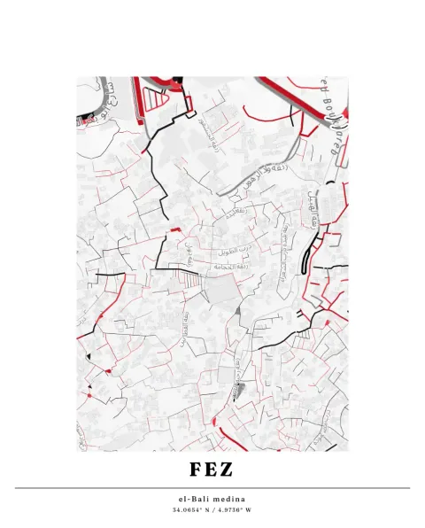 Preview of Fez, alleys inked